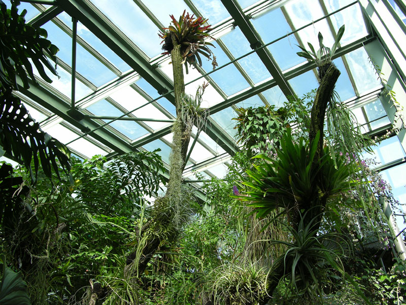 Der Garten Und Seine Pflanzenvielfalt Schauhauser Botanischer